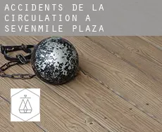 Accidents de la circulation à Sevenmile Plaza