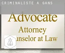Criminaliste à Gans