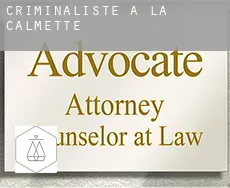 Criminaliste à La Calmette