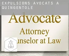 Expulsions avocats à Quingentole