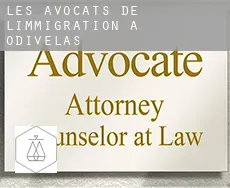 Les avocats de l'immigration à  Odivelas