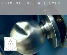 Criminaliste à Éloyes