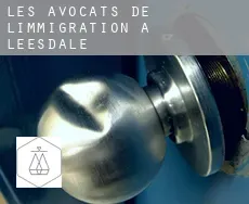 Les avocats de l'immigration à  Leesdale