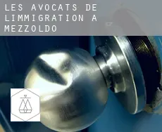 Les avocats de l'immigration à  Mezzoldo