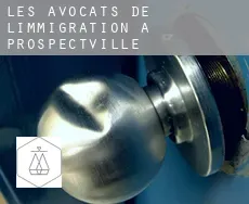 Les avocats de l'immigration à  Prospectville