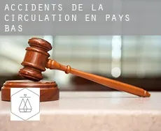 Accidents de la circulation en  Pays-Bas