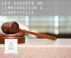 Les avocats de l'immigration à  Looneyville