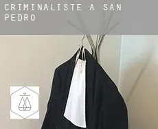 Criminaliste à San Pedro