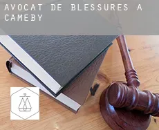 Avocat de blessures à Cameby
