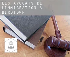 Les avocats de l'immigration à  Birdtown