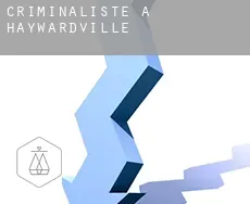Criminaliste à  Haywardville
