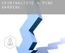 Criminaliste à Pine Gardens