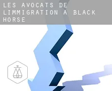 Les avocats de l'immigration à  Black Horse