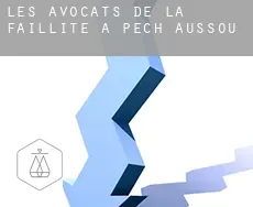 Les avocats de la faillite à Pech-Aussou