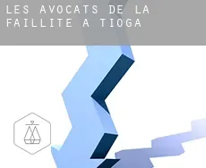 Les avocats de la faillite à Tioga