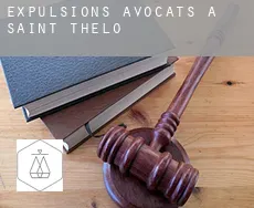 Expulsions avocats à Saint-Thélo