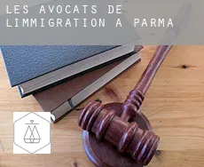 Les avocats de l'immigration à  Parma