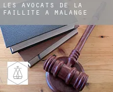 Les avocats de la faillite à Malange
