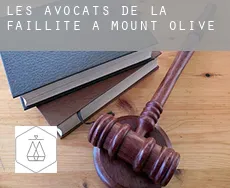 Les avocats de la faillite à Mount Olive