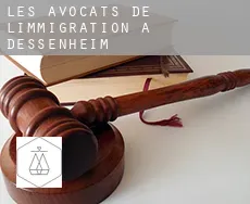 Les avocats de l'immigration à Dessenheim