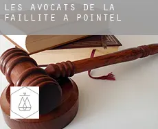 Les avocats de la faillite à Pointel