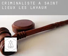 Criminaliste à Saint-Lieux-lès-Lavaur