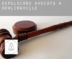Expulsions avocats à Dowlingville