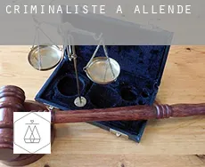 Criminaliste à Allende