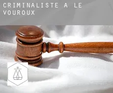 Criminaliste à Le Vouroux