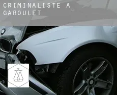 Criminaliste à Garoulet
