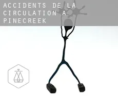 Accidents de la circulation à Pinecreek