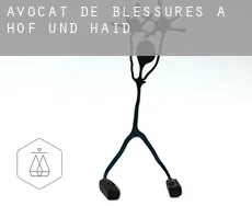 Avocat de blessures à Höf und Haid