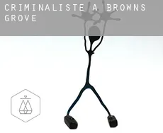 Criminaliste à Browns Grove