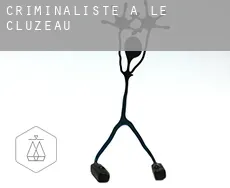 Criminaliste à Le Cluzeau