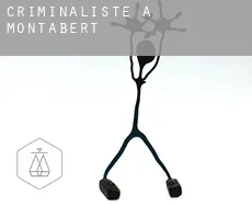 Criminaliste à Montabert
