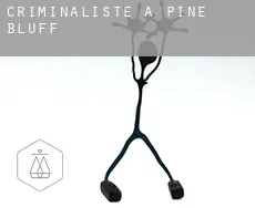Criminaliste à Pine Bluff