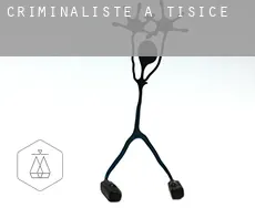 Criminaliste à Tišice
