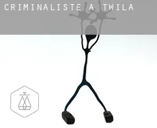 Criminaliste à Twila
