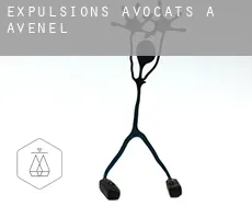 Expulsions avocats à Avenel