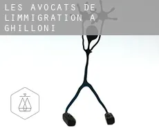 Les avocats de l'immigration à Ghilloni