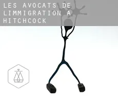 Les avocats de l'immigration à  Hitchcock