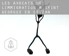 Les avocats de l'immigration à  Saint-Georges-en-Couzan