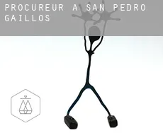 Procureur à  San Pedro de Gaíllos