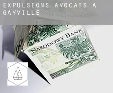 Expulsions avocats à  Gayville