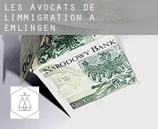 Les avocats de l'immigration à Emlingen