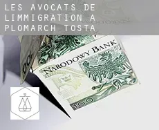Les avocats de l'immigration à  Plomarc'h-Tosta