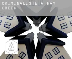 Criminaliste à Hay Creek