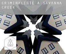 Criminaliste à Savanna Creek