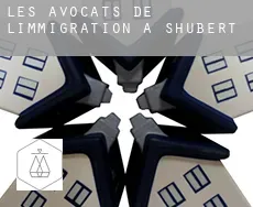 Les avocats de l'immigration à  Shubert