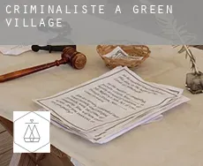 Criminaliste à  Green Village